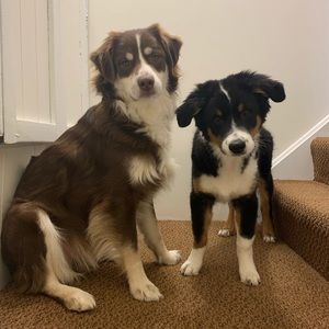 Meet your Posher, Kevin